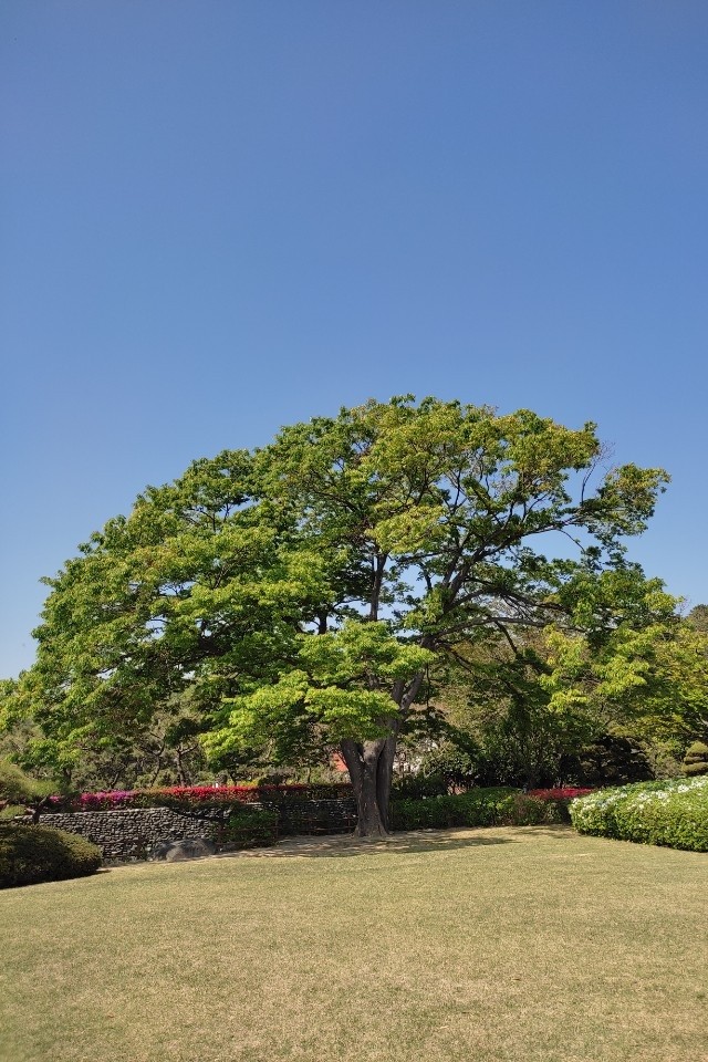 KakaoTalk_20220420_191351449_05