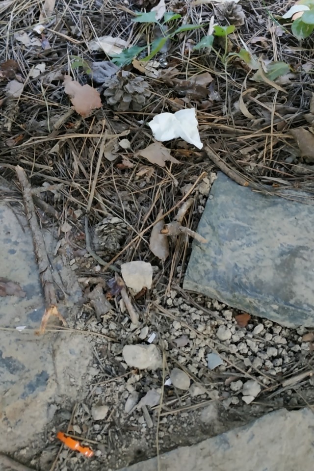 KakaoTalk_20201027_180427656_01