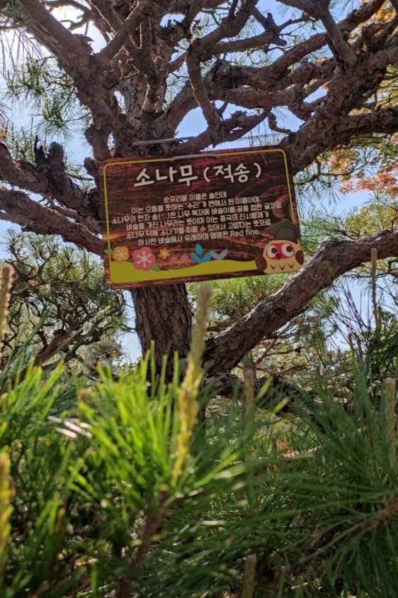 KakaoTalk_20220420_191351449_01