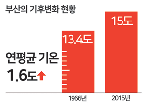최근 1966년과 2015년 50년 간의 기후를 분석한 결과 연평균 기온이 13.4도에서 15도로 1.6도 상승한 것으로 나타났다