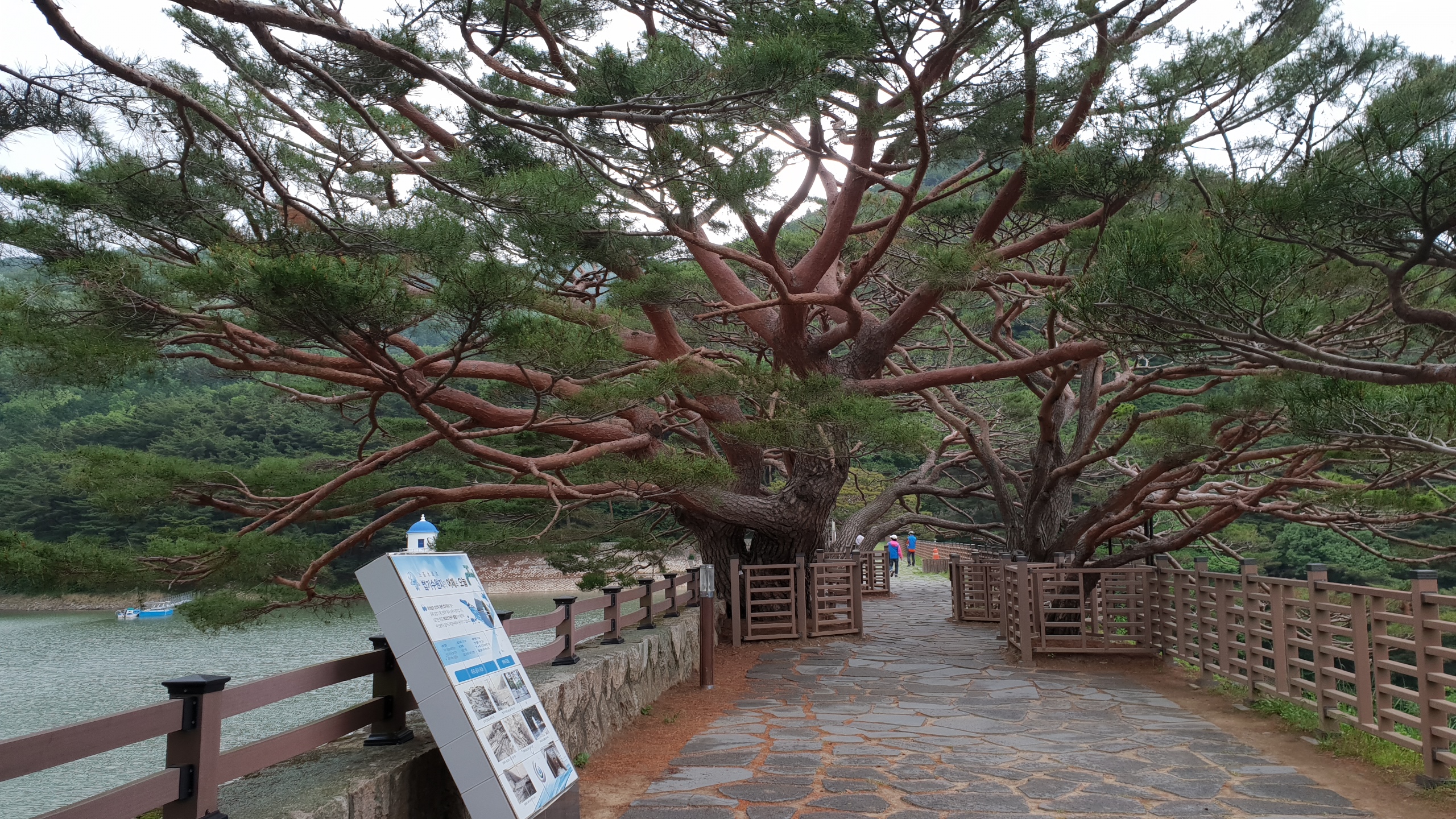 법기수원지 사진