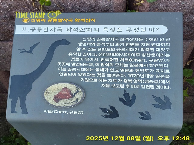 공룡 처트(규칠암)