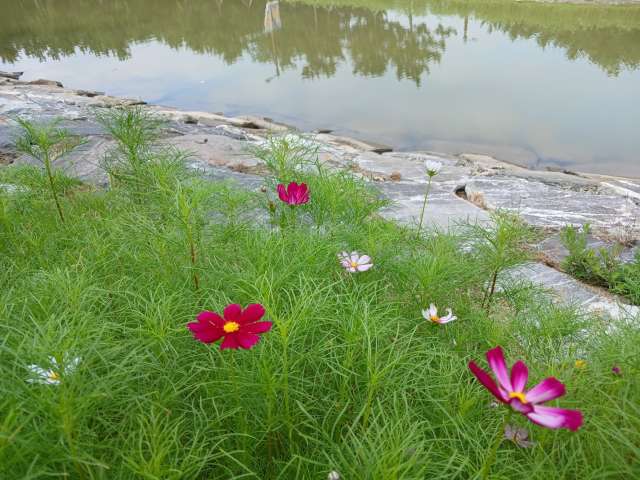 수정됨_KakaoTalk_20240720_092758866