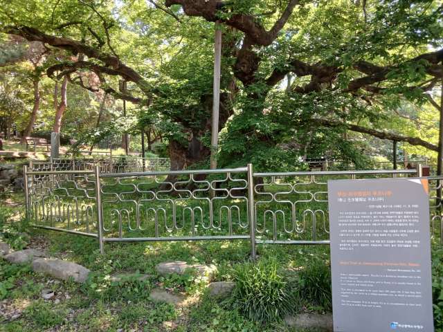 수정됨_KakaoTalk_20240515_114153208