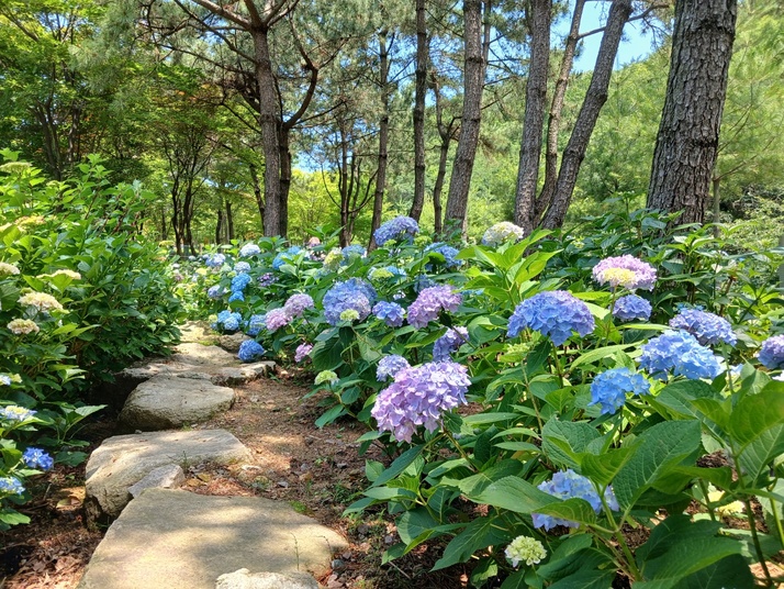 KakaoTalk_20250615_154237127