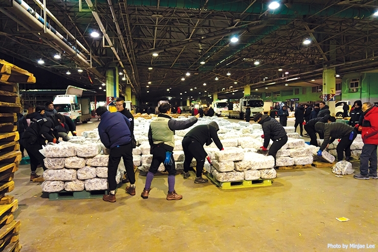 8-2cw12 부산공동어시장_이민재