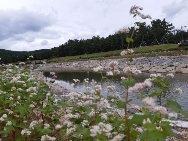 수정됨_KakaoTalk_20231008_165713218