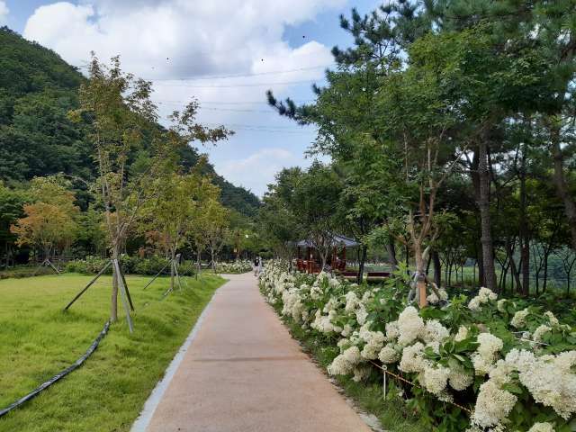 수정됨_KakaoTalk_20210816_191630073