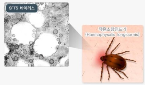 동물위생보 그림1