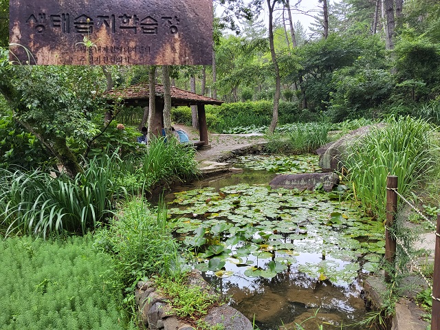 생태습지학습당