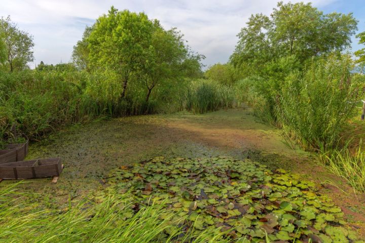 삼락습지생태원_1