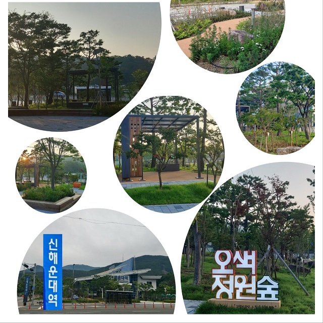 신해운대0