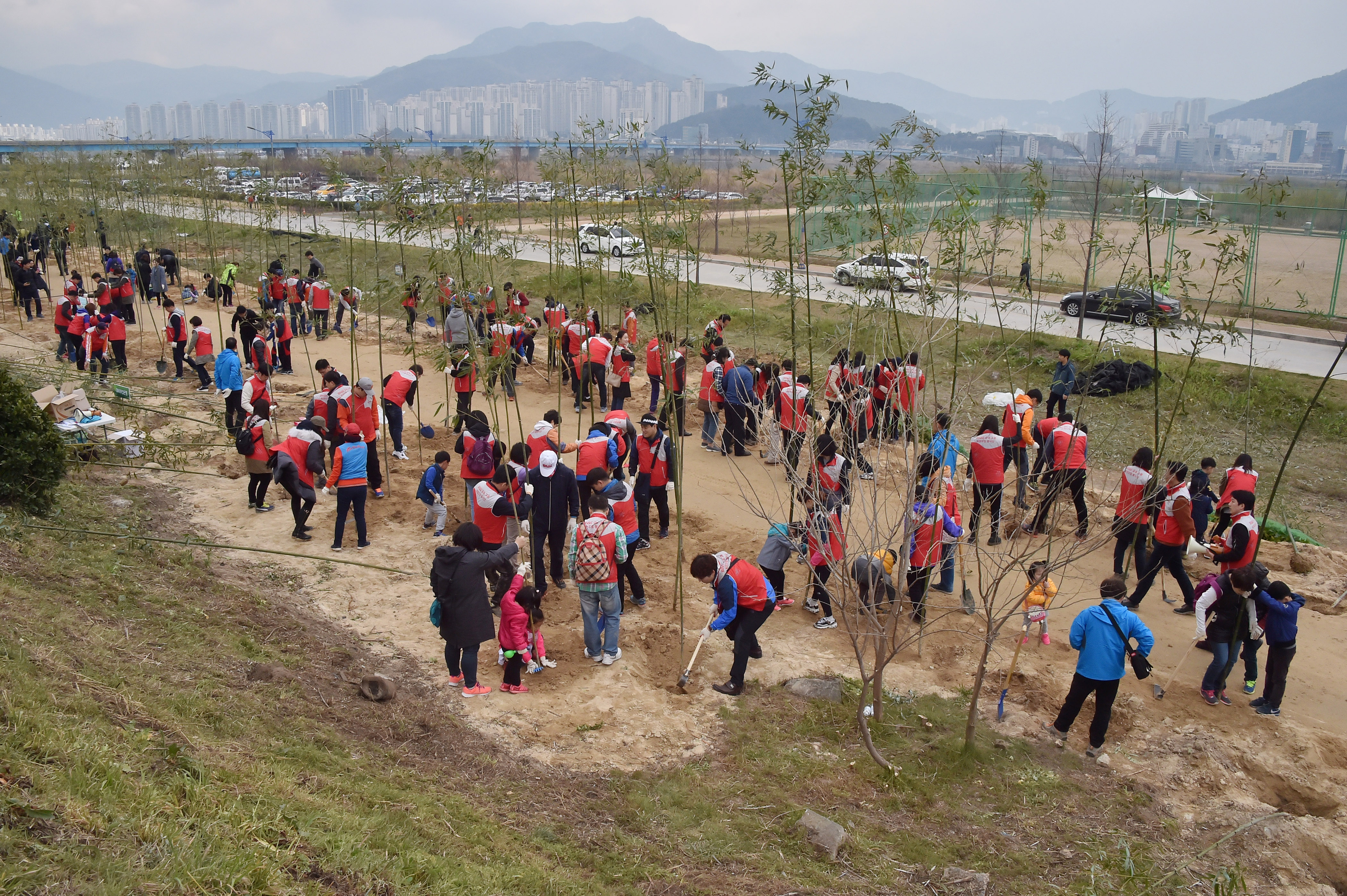 20160326 시민과 함꼐하는 나무심기 행사(대저생태공원) 14.jpg