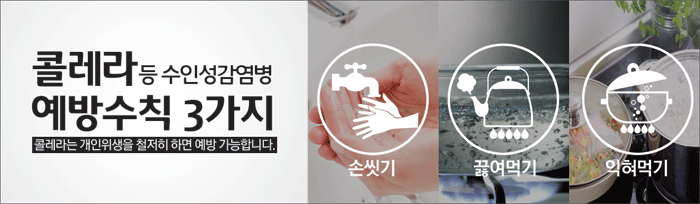 콜레라 예방·관리 수칙-손씻기, 끓여먹기, 익혀먹기