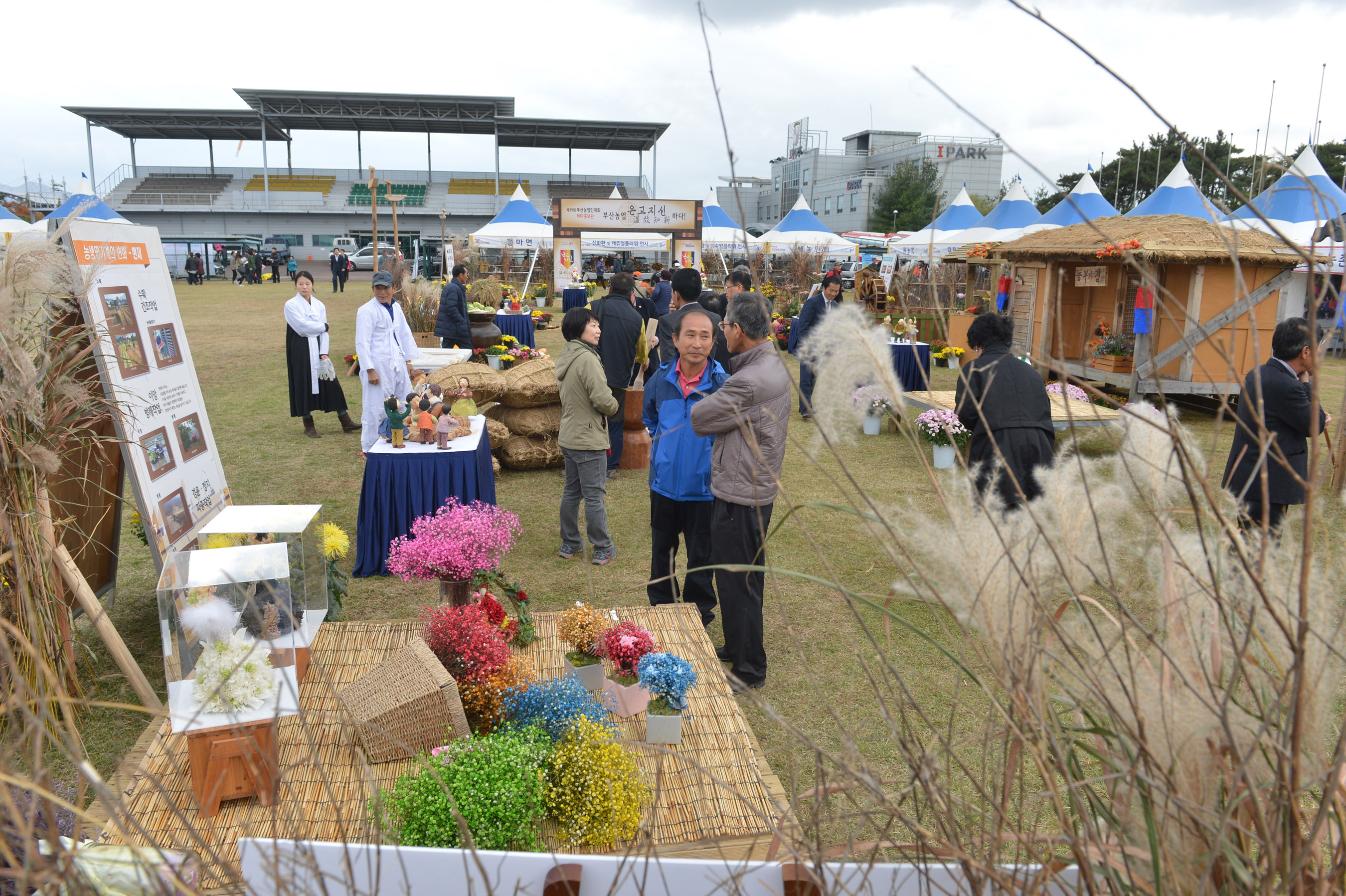 20161110 농업인의 날 기념식(강서체육공원) 23.jpg