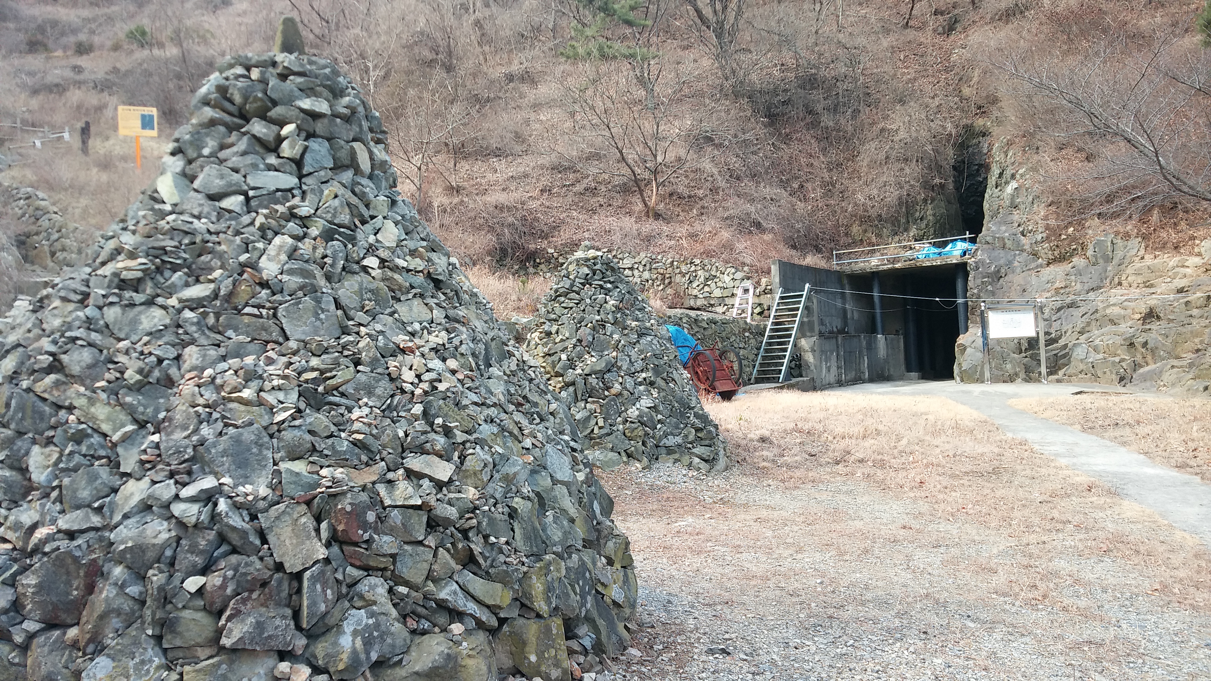 20170304_102727.jpg