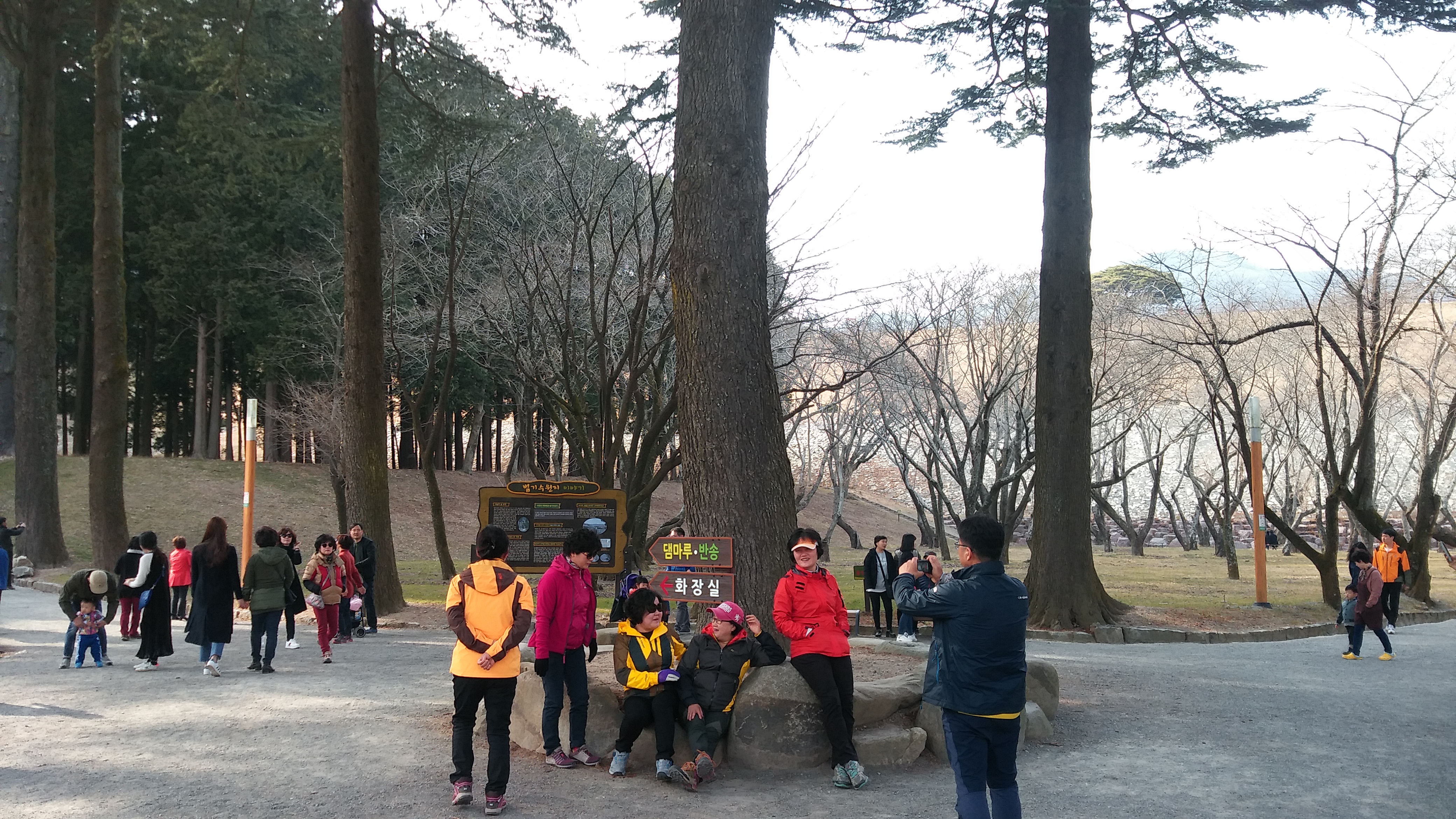 20170312_153720.jpg