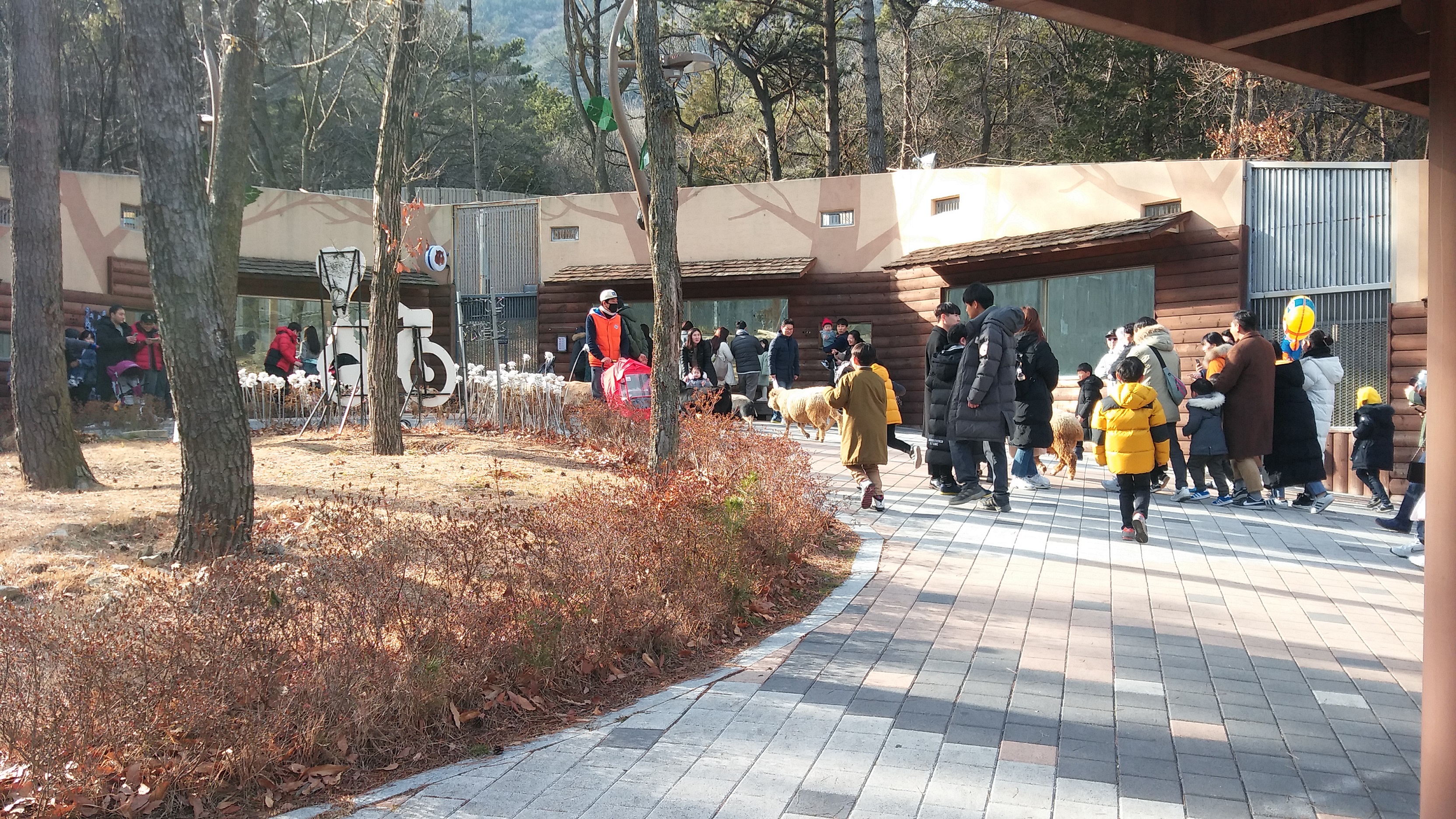 겨울동물왕국 현장 사진