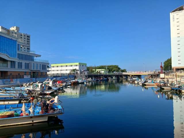 수정됨_KakaoTalk_20240917_105230280