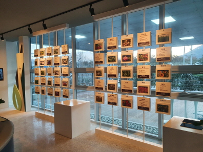 증강현실작물체험