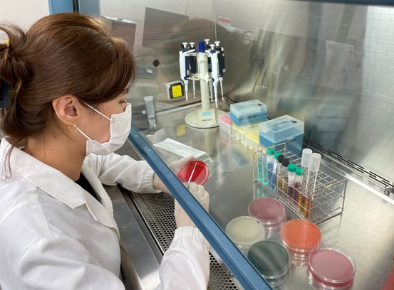 식약품정보 그림1