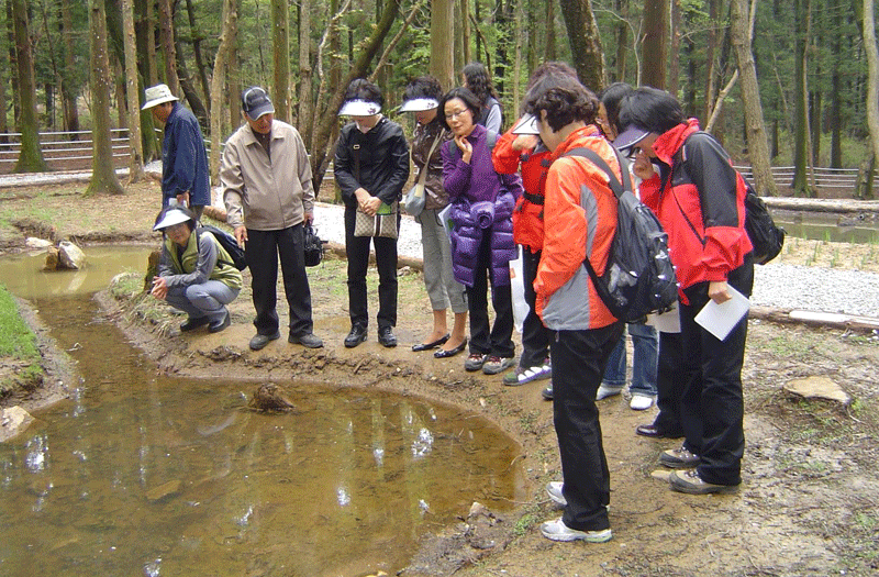 부산시는 도시의 ‘열섬현상’ 완화를 위해 녹지를 확대하고, 생태하천과 습지를 복원하는 등 물과 나무가 많은 도시환경 가꾸기에 나선다(사진은 부산진구 어린이대공원 숲 체험교실 참가자들이 습지를 둘러보는 모습).