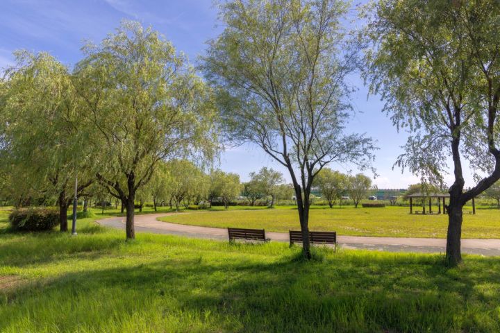 삼락생태공원_1