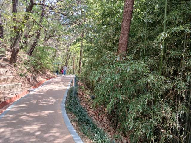 수정됨_KakaoTalk_20240412_145159615