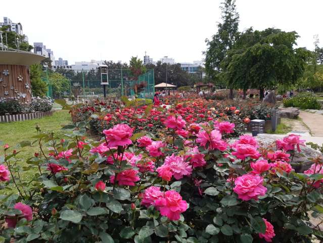 수정됨_KakaoTalk_20230512_152935344