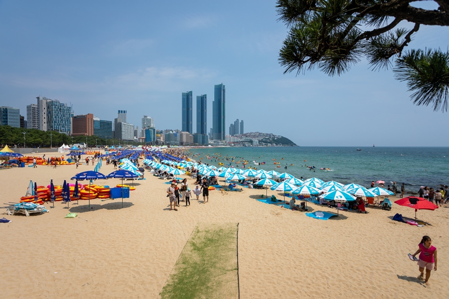 Haeundae and Songjeong beaches deemed safe