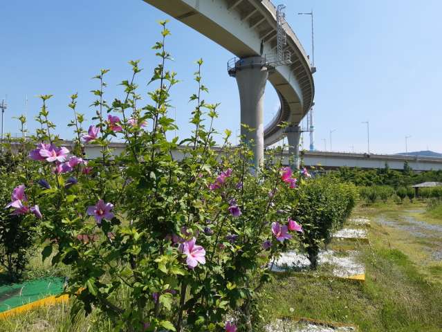 수정됨_KakaoTalk_20230617_114009199