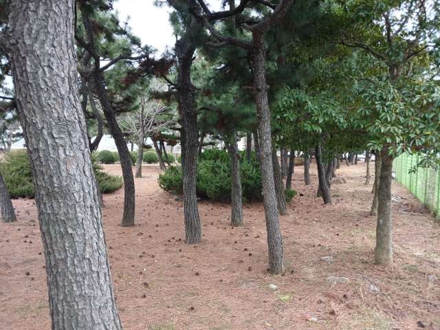 수정됨_KakaoTalk_20240204_054752510