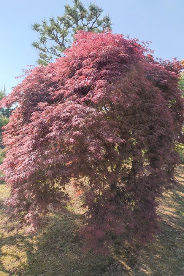 KakaoTalk_20220420_191351449