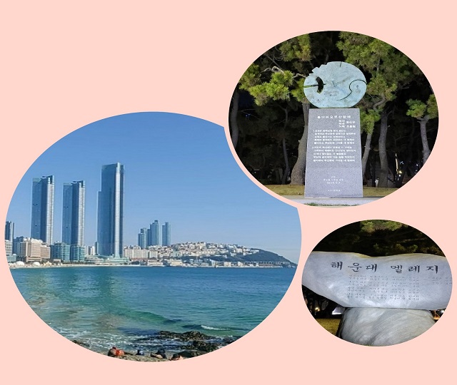 노래비 해수욕장