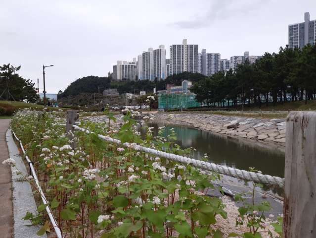 수정됨_KakaoTalk_20231008_165712202