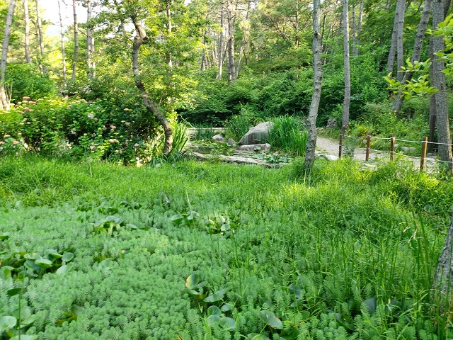 KakaoTalk_20220612_091258711_12