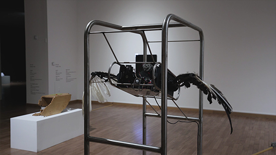 어느-회색분자의-날개