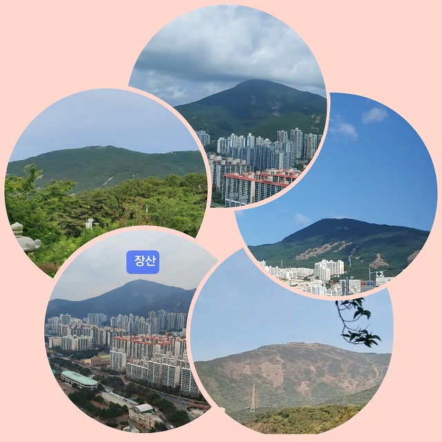 장산의 여러모습