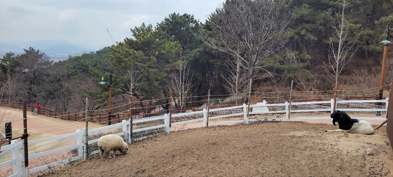 KakaoTalk_20220306_195250496_04