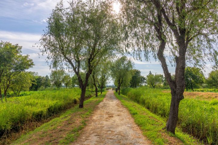 삼락습지생태원_2