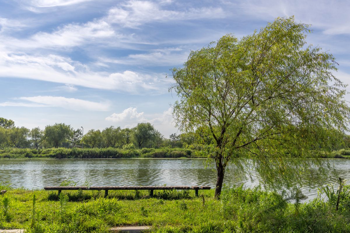 삼락생태공원_2