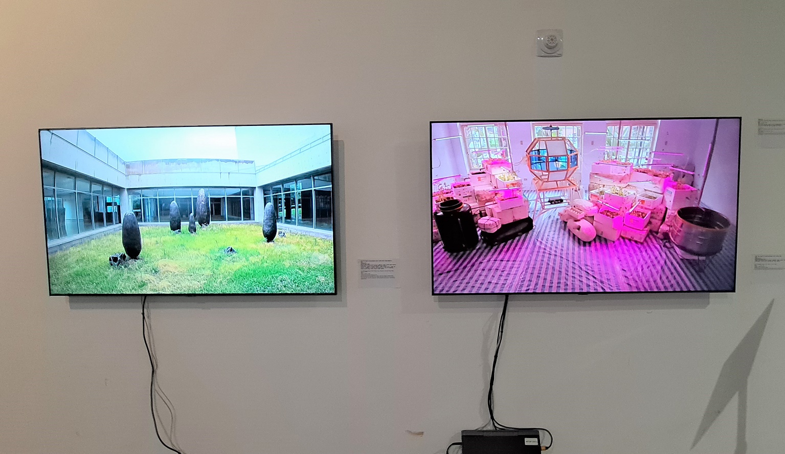 지속가능미술_14_온라인