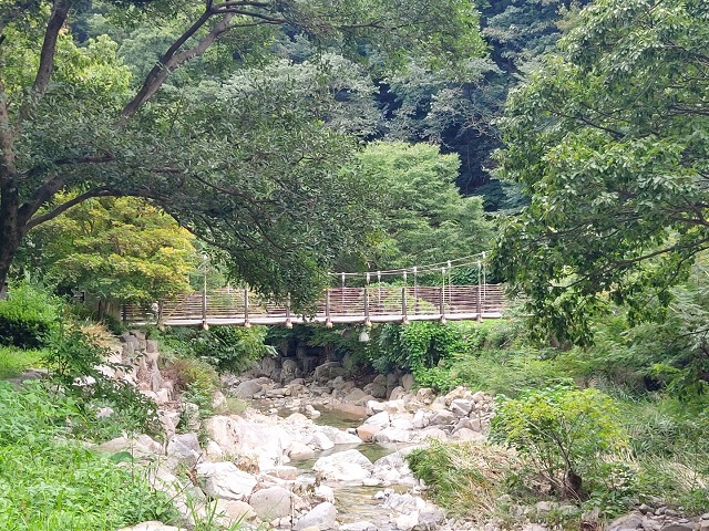 반딧불이 다리1