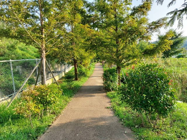 생태공원 산책로1