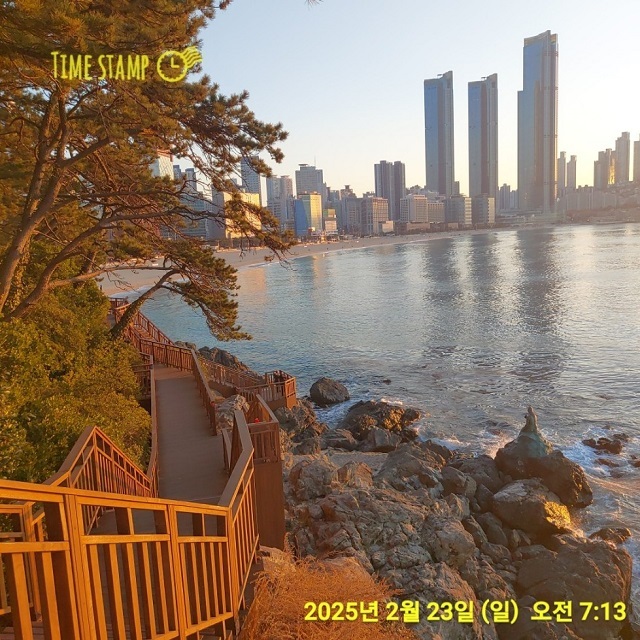 표지