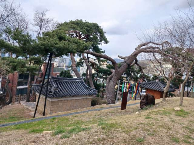 수정됨_KakaoTalk_20240319_175921577