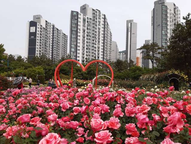 수정됨_KakaoTalk_20230512_152932279