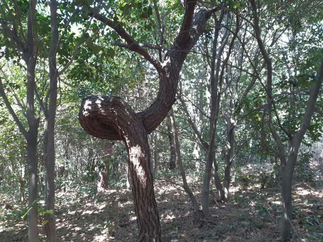 수정됨_KakaoTalk_20220402_192716626