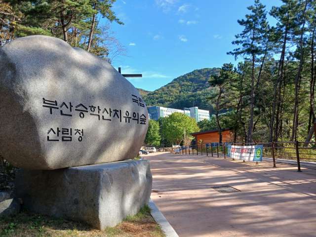 수정됨_KakaoTalk_20241029_192030543