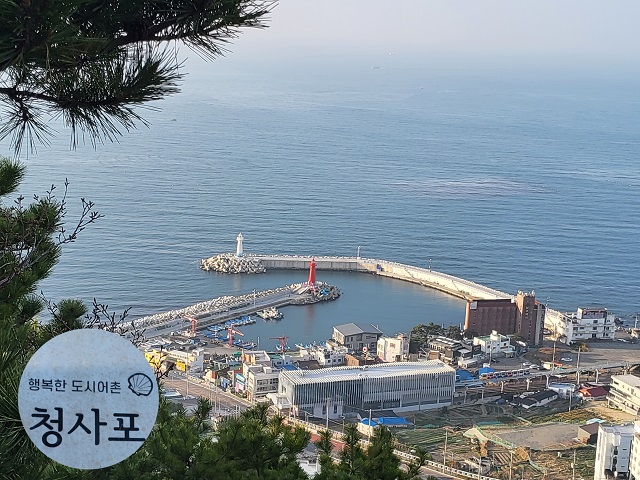 청사포항0